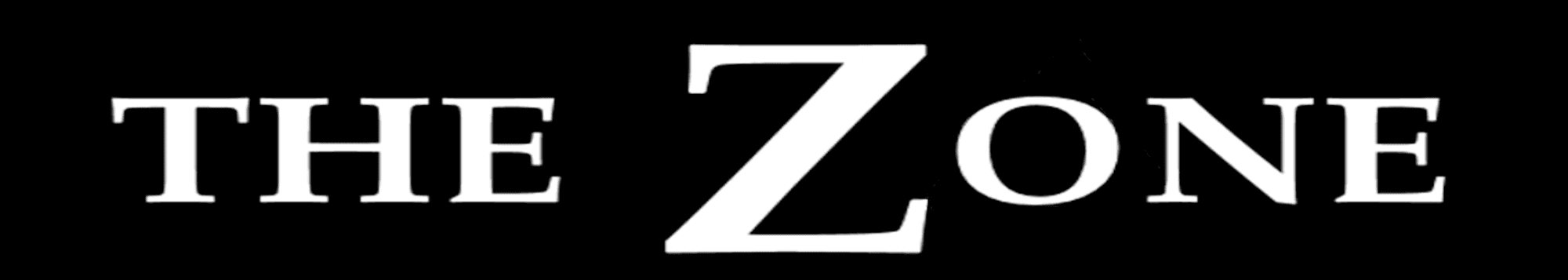 The Zone, artist image