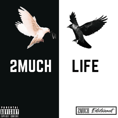 Luc2Much, profile photo