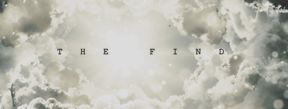 The Find, artist image