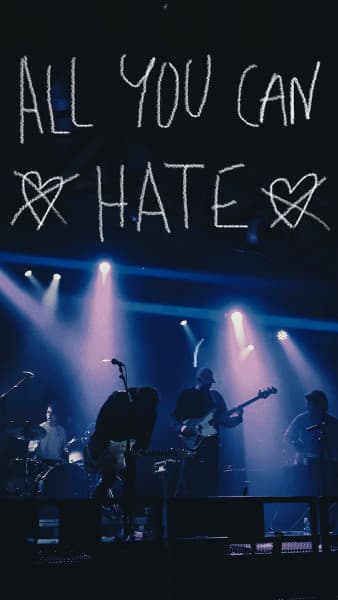 All You Can Hate, artist image